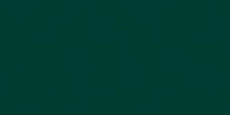 Patio Paint 2oz Pine Green