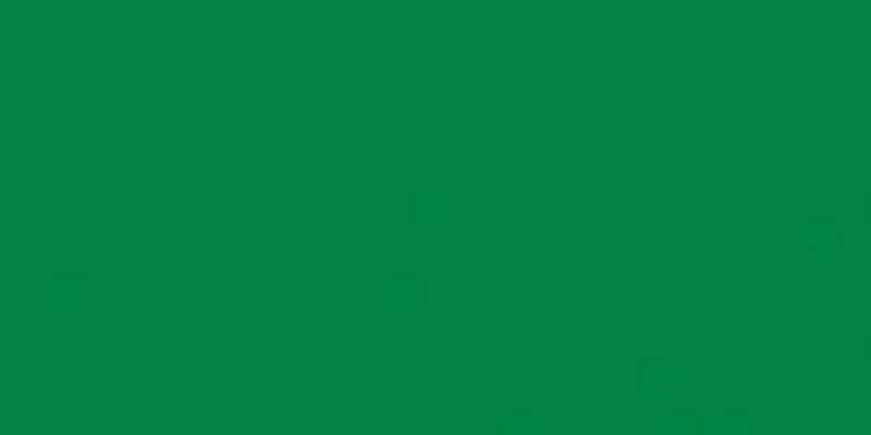 Americana Acrylic Paint 2oz Kelly Green - Opaque