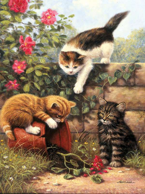 Junior Small Paint By Number Kit 8.75"X11.75" Kittens At Play