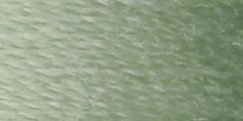 Dual Duty XP General Purpose Thread 250yd Light Green Linen