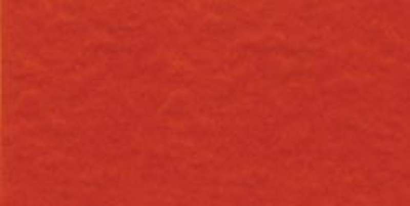 Bazzill Fourz Cardstock 12"X12" Orange/Classic