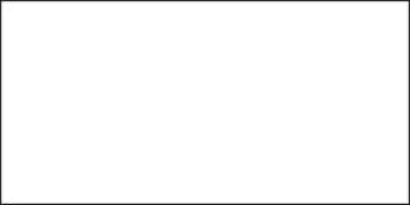Jacquard Neopaque Acrylic Paint 2.25oz White