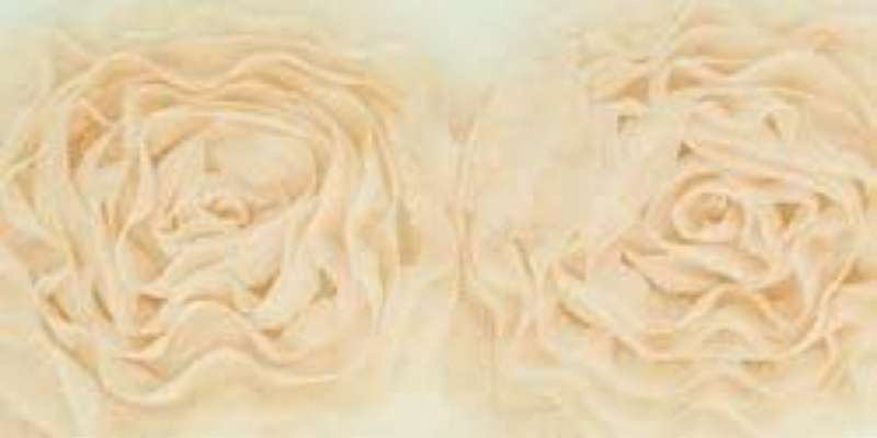 Kaisercraft Ribbon, Roses, Large Cream 8 Roses