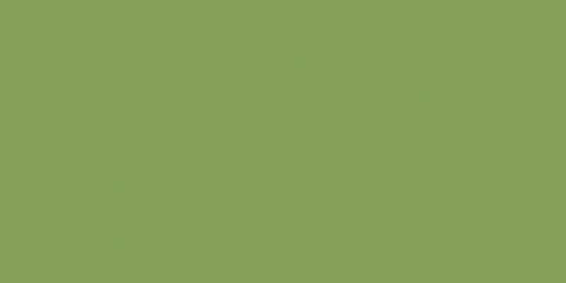 Crafter's Acrylic All-Purpose Paint 2oz Leaf Green