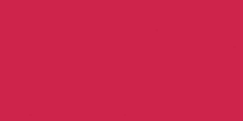 Crafter's Acrylic All-Purpose Paint 2oz Wild Watermelon