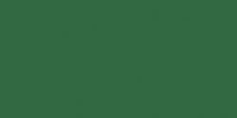 Crafter's Acrylic All-Purpose Paint 2oz Pine Needle