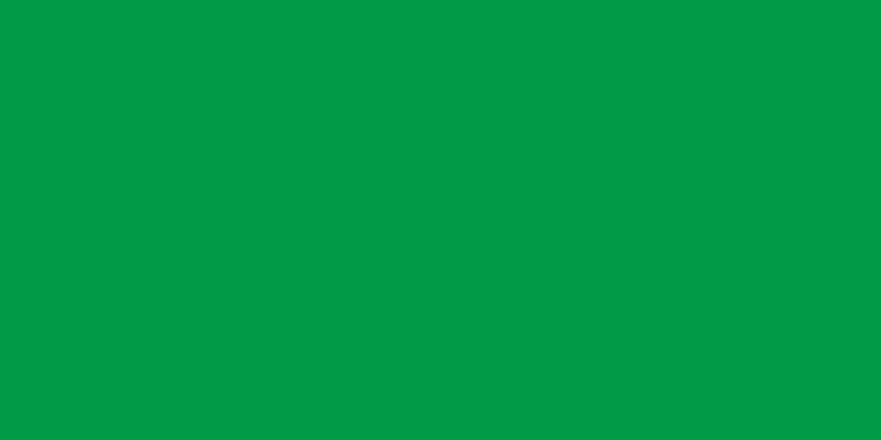 Crafter's Acrylic All-Purpose Paint 2oz Holiday Green