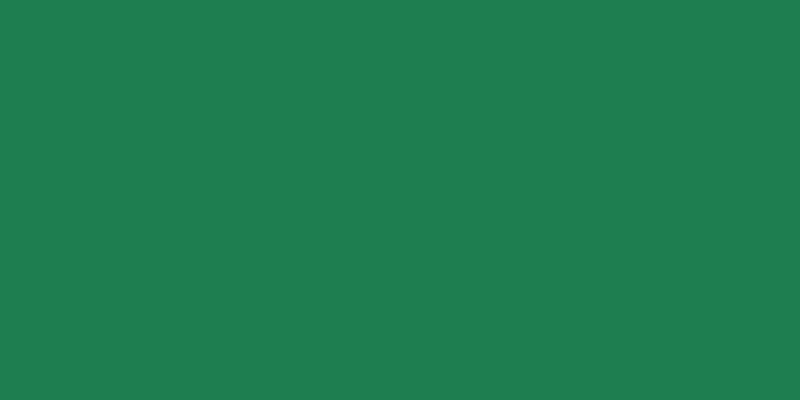Crafter's Acrylic All-Purpose Paint 2oz Shamrock Green