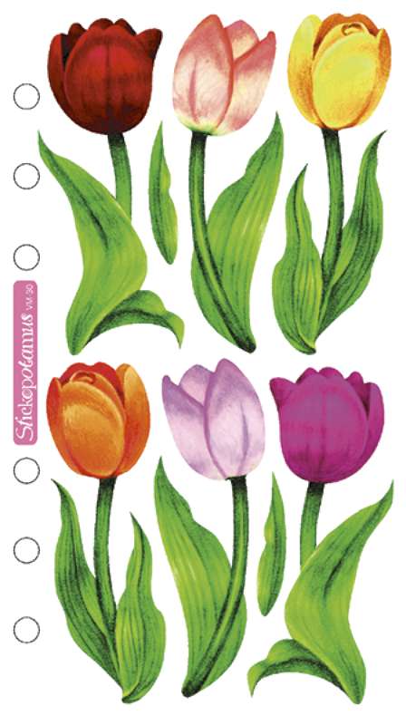 Sticko Stickers Tulips