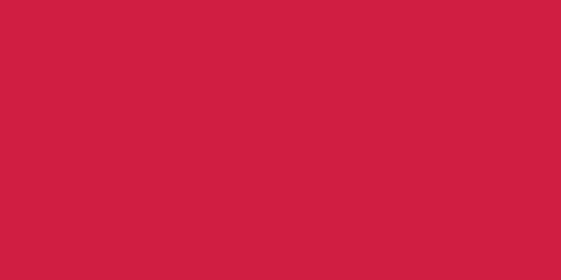 Jacquard Procion MX Dye .33oz Carmine Red