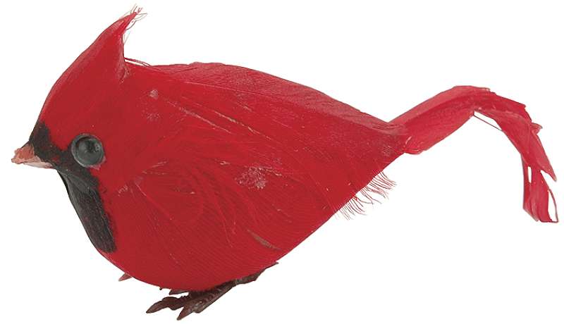 Mushroom Bird 2.5" Fat Cardinal