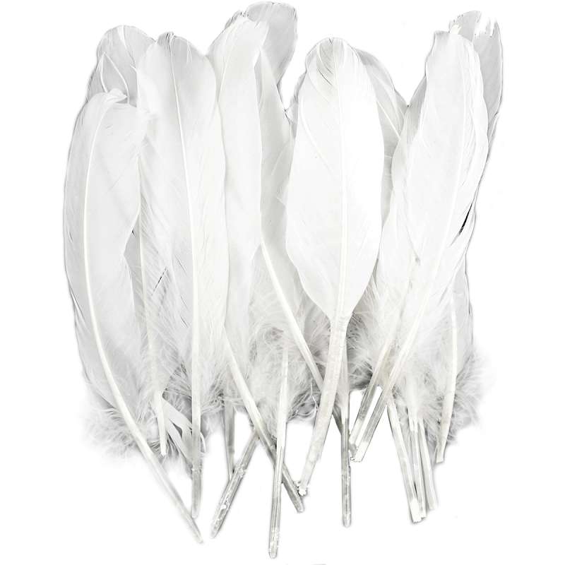 Goose Wing Rounds Feathers 22/Pkg White