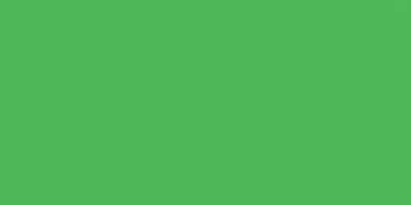 Crafter's Acrylic All-Purpose Paint 2oz Wild Green