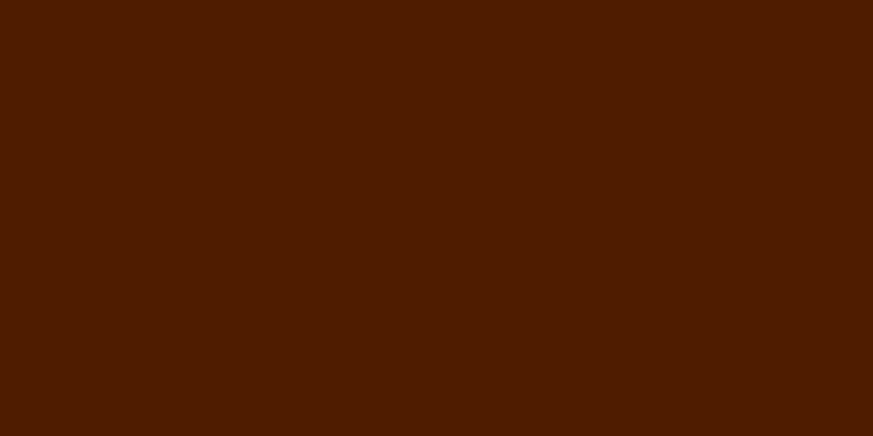 Crafter's Acrylic All-Purpose Paint 2oz Burnt Umber