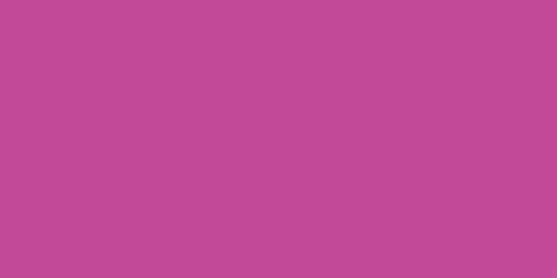 Crafter's Acrylic All-Purpose Paint 2oz Fun Fuchsia