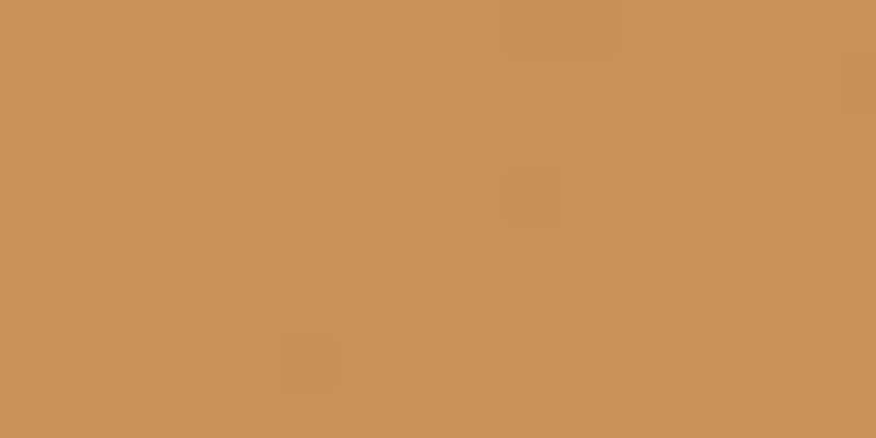Crafter's Acrylic All-Purpose Paint 2oz Golden Brown