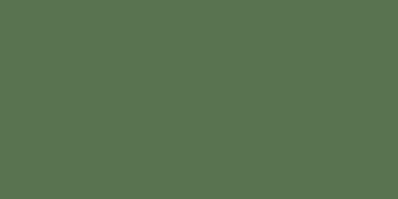 Crafter's Acrylic All-Purpose Paint 2oz Forest Green