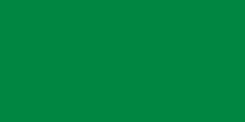 Sew-All Thread 274yd Kelly Green
