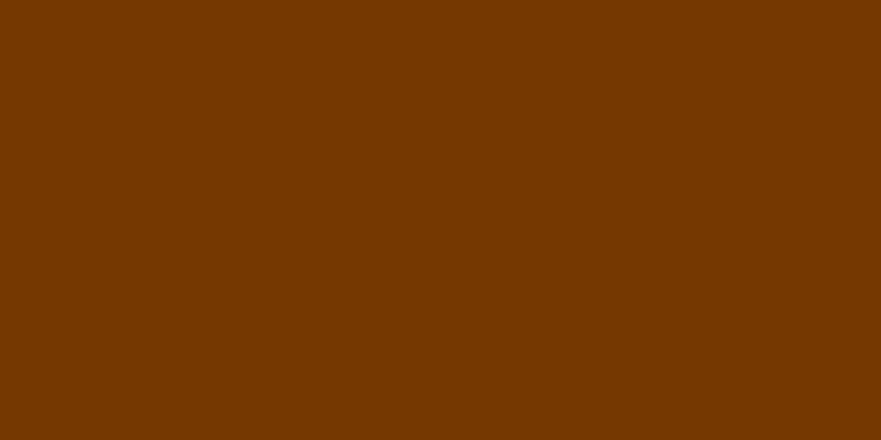 Crafter's Acrylic All-Purpose Paint 2oz Cinnamon Brown