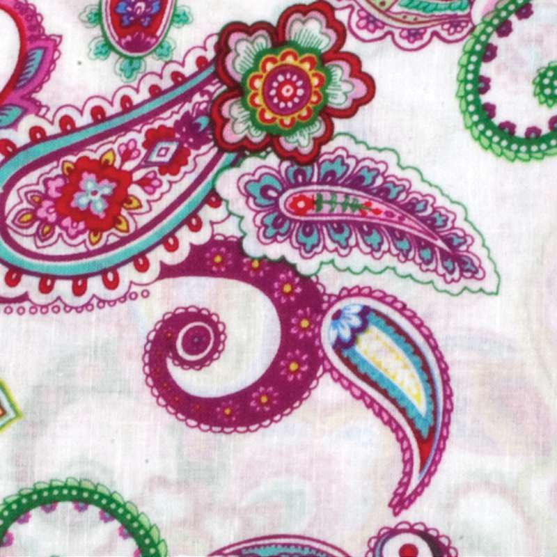 Punch of Paisley Precuts 18"X42" 1/Pkg Punch of Paisley A