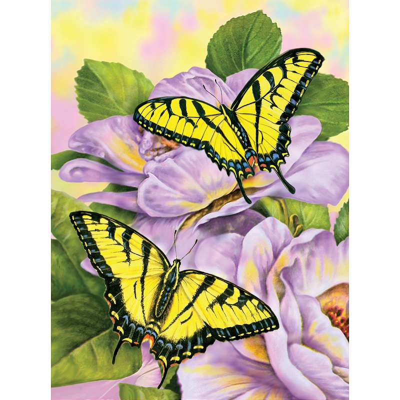 Junior Small Paint By Number Kit 8.75"X11.75" Swallowtail Butterflies