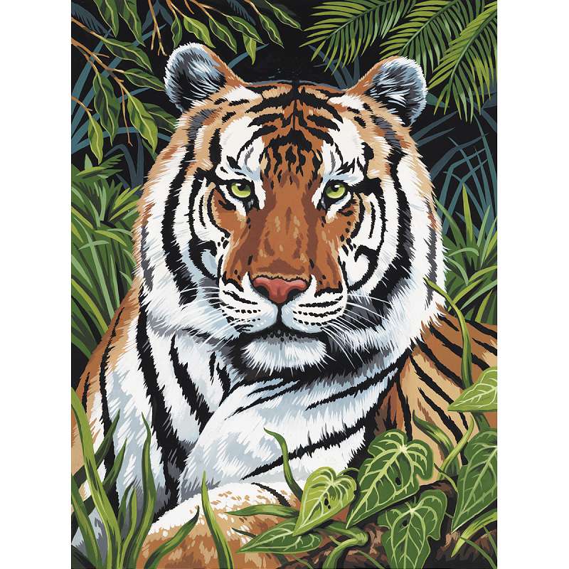 Junior Small Paint By Number Kit 8.75"X11.75" Tiger In Hiding