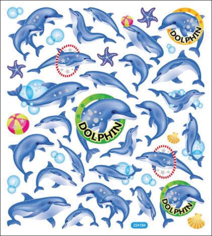 Multicolored Stickers Dolphin Fun