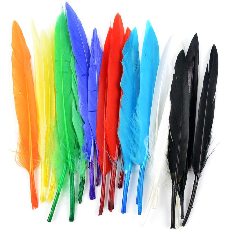 Mini Indian Feathers 24/Pkg Assorted Colors