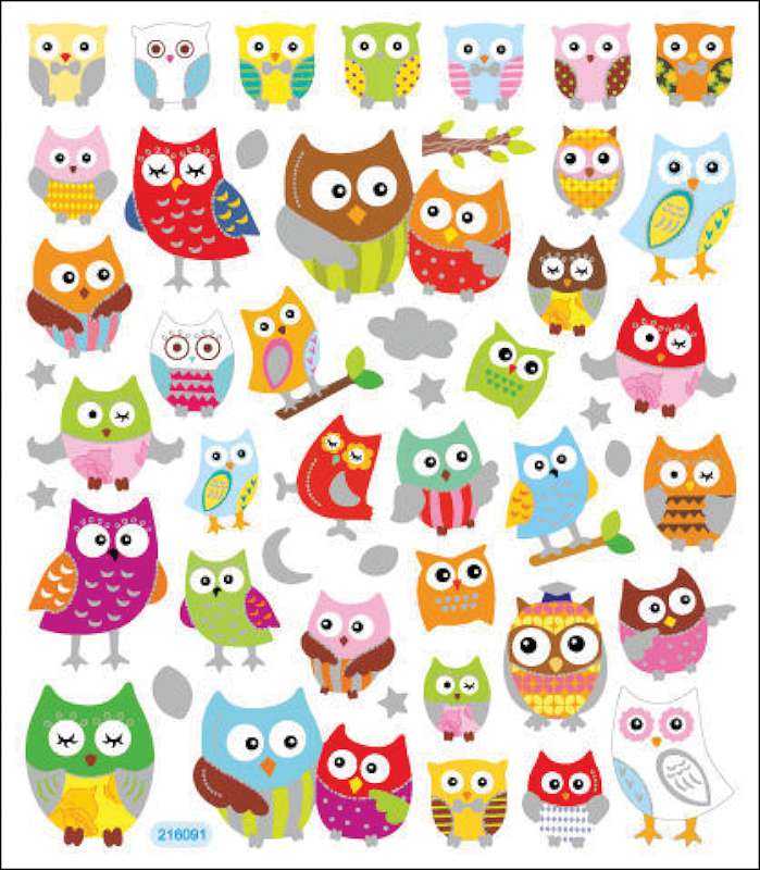 Multicolored Stickers Wide Eyed Owls