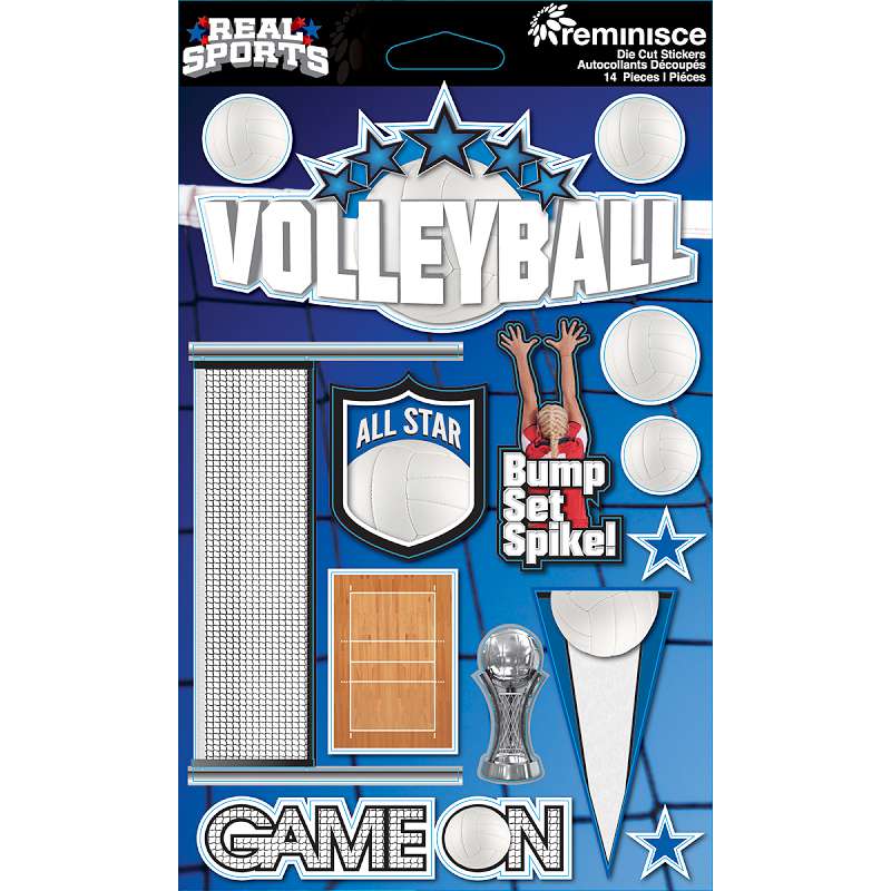 Real Sports Dimensional Cardstock Stickers Volleyball