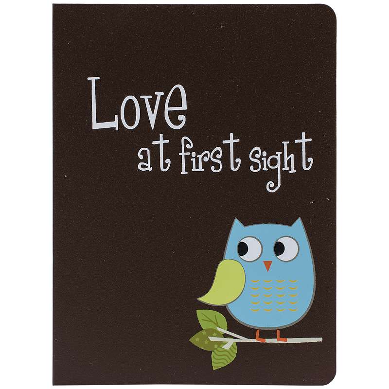 Pioneer Baby Owl Brag Book Album 4"X6"  Assorted Colors