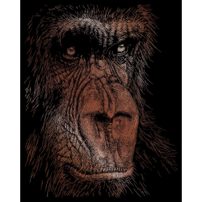 Copper Foil Engraving Art Kit 8"X10" The Wise Simian