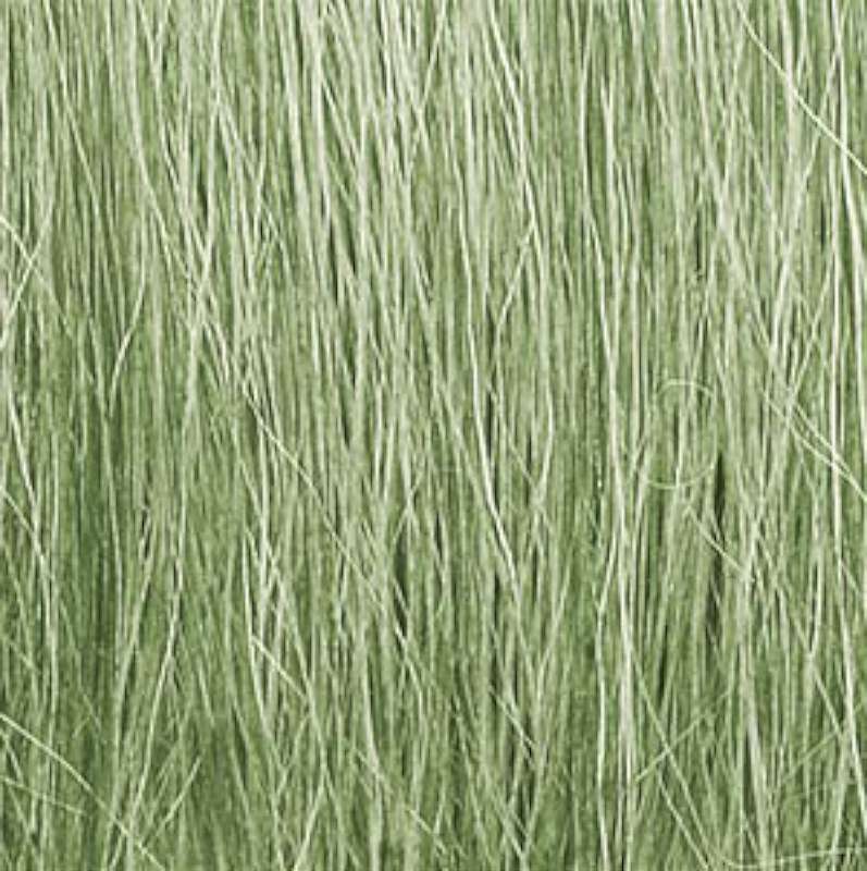 Field Grass- Light Green (8gms Bag/Cd)