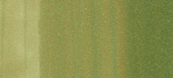 Copic Sketch Marker Greens, Willow G24 (4511338007143)